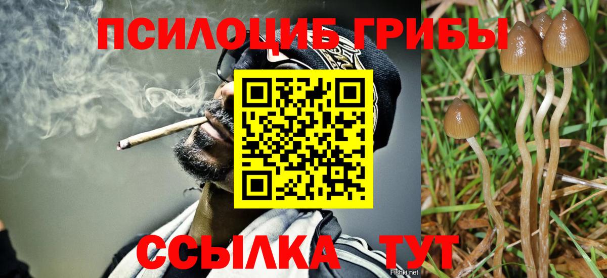 Псилоцибиновые грибы мицелий Богородск