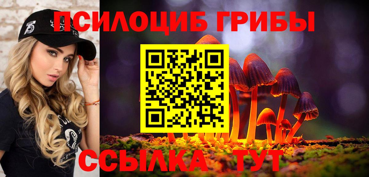 Богородск  Галлюциногенные грибы Psilocybine cubensis  закладки  Вход с VPN 